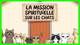 La mission spirituelle sur les chats [upl. by Camellia830]