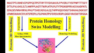 Protein homology  Swiss Modeling  how to predict 3D structure of your protein Protein 3D modeling [upl. by Retrop145]