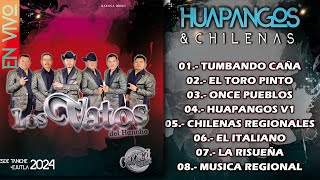 ✔ LOS VATOS DEL RANCHO  ♬ Mix 2024  ❤ PUROS HUAPANGOS amp CHILENAS En Vivo  Taniche Ejutla [upl. by Freberg]