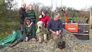 Harvesting Some Of Our HomeGrown Timber And Making Woodchips [upl. by Noned274]