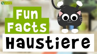 11 Fun Facts über Haustiere z B Katze Hund und Hamster  mit lustigen Animationen für Kinder [upl. by Waldron530]