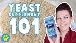 The Benefits Of Yeast Supplement For Hamsters [upl. by Reger]