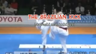 Kyokushin Karate Techniques  How Brazilian Kick Work [upl. by Mamie347]