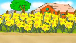 Daffy Down Dilly  English Nursery Rhymes  CartoonAnimated Rhymes For Kids [upl. by Buffum183]