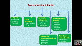 Anticancer Antimetabolites agent Medicinal Chemistry [upl. by Seidler910]