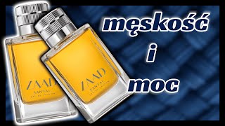 PERFUMY MĘSKIE  Stosunek ceny do jakości 💪 [upl. by Mehcanem]