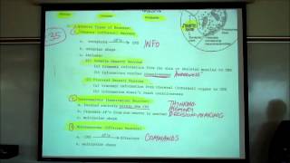 Organization of the Nervous System the CNS amp PNS by Professor Fink [upl. by Florri]