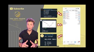 3 Forex Signal Channels that MADE MONEY this Month  The CopyTrader [upl. by Deroo44]