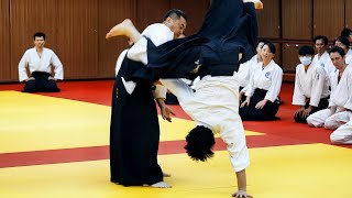 Amazing Aikido in Taiwan [upl. by Bucella]