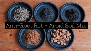 Aroid Mix  A comprehensive guide to prevent root rot Aroid amp Epiphyte [upl. by Uht]