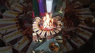 Homam pooja🙏 songshortvideos [upl. by Grannias322]