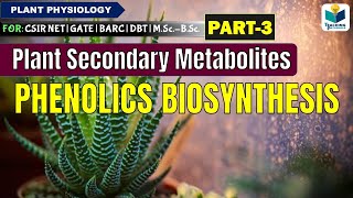 PLANTS SECONDARY METABOLITESPART3  PHENOLICS BIOSYNTHESIS CSIR NET [upl. by Secnirp]