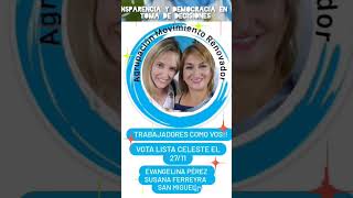 Elecciones 27 Noviembre Soeme [upl. by Shelia]