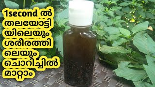 ചൊറിച്ചിലിനു ഇത് ഒറ്റ തവണ ഉപയോഗിച്ചാൽ മതിchorichil maranitching treatment at home remedy [upl. by Andria78]