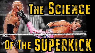 The Science Behind The Pro Wrestling Superkick [upl. by Aneral]