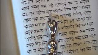 Haftorah Reading for Parashat Shoftim Rabbi Moshe Weisblum קריאת ההפטרה לפרשת שופטים הרב משה ויסבלום [upl. by Yenial]