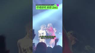 주제파악 못한 2ne1shorts [upl. by Anelas677]