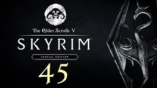 SKYRIM  Special Edition 45  Can you get addicted to stupidity [upl. by Standush484]