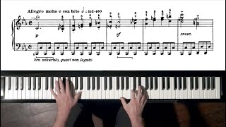 Beethoven Pathétique Sonata TUTORIAL 1st Movement  P Barton FEURICH piano [upl. by Kellda455]