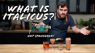 Bergamot Liqueur How to surprise your tastebuds How to use Italicus at home [upl. by Aciamaj]