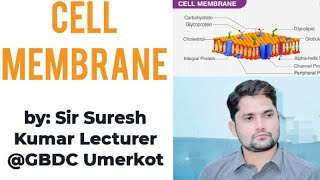 Cell membranePlasma membrane structure and function Fluid mosaic model HindiUrdu By Sir Suresh K [upl. by Ecilahc]