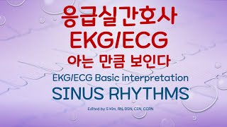 Sinus Rhythms 동성 부정맥 [upl. by Ecirtnuahs]