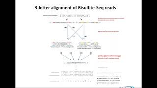 20171013 Bisulfite Sequencing Theory and Quality Control Dr Felix Krueger [upl. by Sharline]