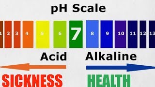 Is the Acid Alkaline a Myth Responding to Chris Kresser Paleo Advocate [upl. by Sillad557]