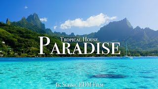 Paradise  Tropical House Mix  4k Scenic Film With EDM Music [upl. by Greenwood652]