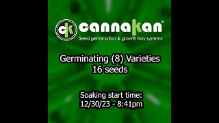 Seed germination time lapse 3 days Part 1 [upl. by Htebsil97]