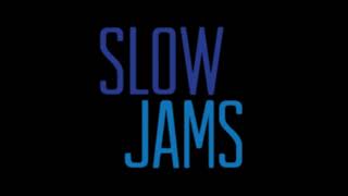 RampB SLOW JAMS VOL4 SLOWED amp CHOPPED [upl. by Desdee130]