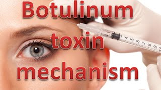 Botulinum toxin mechanism [upl. by Ydoow]