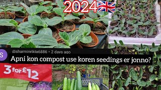 Which soil I use to germinate my vegetable seeds  Shoker Bagan uk 2024 [upl. by Karlise992]