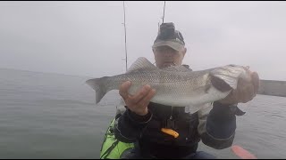 kayak fishing for Bass [upl. by Ralfston7]