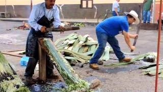 Tacátzcuaro elaboración de Reatas de Lazar [upl. by Airec]