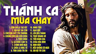 Tuyển Tập Thánh Ca Mùa Chay Hay Nhất  Con Chỉ Là Tạo Vật  Nghe Cầu Nguyện Tĩnh Tâm Mùa Chay [upl. by Afira755]