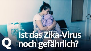 Wie viel Gefahr geht vom ZikaVirus noch aus  Quarks [upl. by Hanavas]