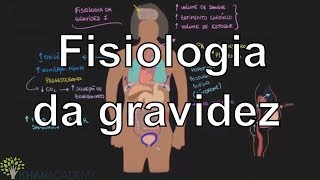 Fisiologia da gravidez I  Vida e evolução  Khan Academy [upl. by Tray]