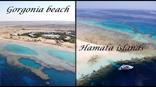 Marsa Alam Gorgonia beach e isole Hamata [upl. by Jamila312]