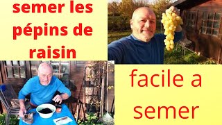 comment semer des pépins de raisins [upl. by Elaina]