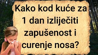 🤧👃 Začepljen nos i otežano disanje  Kako kod kuće za 1 dan izliječiti zapušenost i curenje nosa [upl. by Durno124]