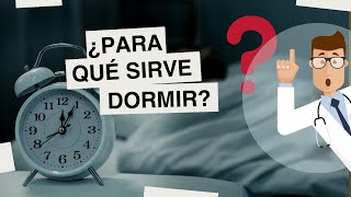 ¿PARA QUÉ sirve DORMIR FUNCIONES del SUEÑO [upl. by Nelg]