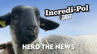 IncrediPol Cast  Episode 4 Herd The News [upl. by Remas]