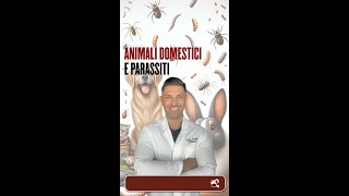 ANIMALI DOMESTICI E PARASSITI [upl. by Nerfe628]