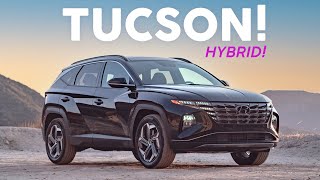 A Hybrid Crossover That Doesnt Suck 20232024 Hyundai Tucson Hybrid Review [upl. by Kristopher268]