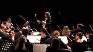 Beethoven Symphony 7 Scherzo Presto 3rd mvt [upl. by Neeuq265]