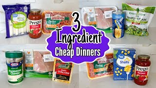 Quick amp Easy 3INGREDIENT Dinners You Can Make TONIGHT  Tasty Cheaper Meal Ideas  Julia Pacheco [upl. by Auqinal]