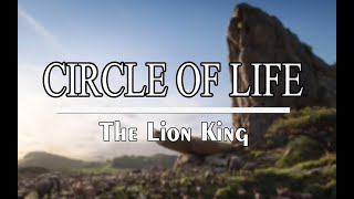 Circle of LifeNants Ingonyama  Lyrics The Lion King 2019 [upl. by Renae]