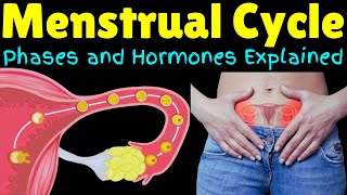 The Menstrual Cycle – Phases and Hormones Explained  Menstruation Explained [upl. by Yntrok]