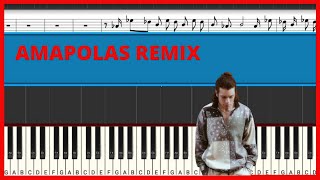 Leo Rizzi Danny Ocean  Amapolas Remix  Piano Tutorial  Midi [upl. by Seys]